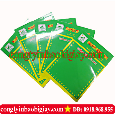 In túi hạt giống| baobimangghep.com